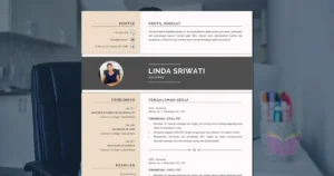 Template dan Contoh CV Akuntan Yang Menarik